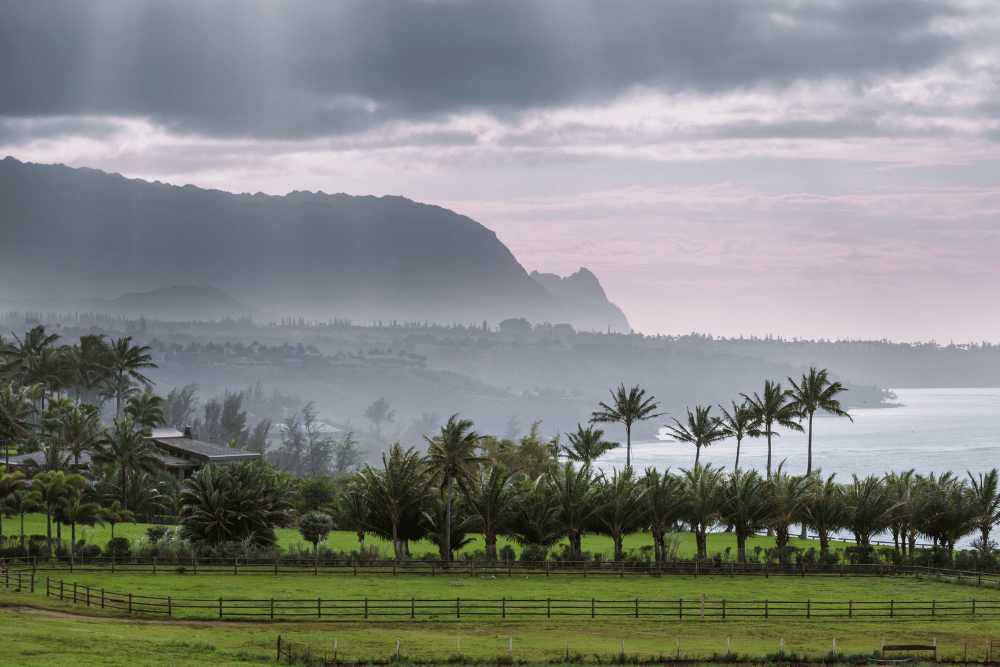 Best Kauai Wedding Locations for Your Dream Ceremony