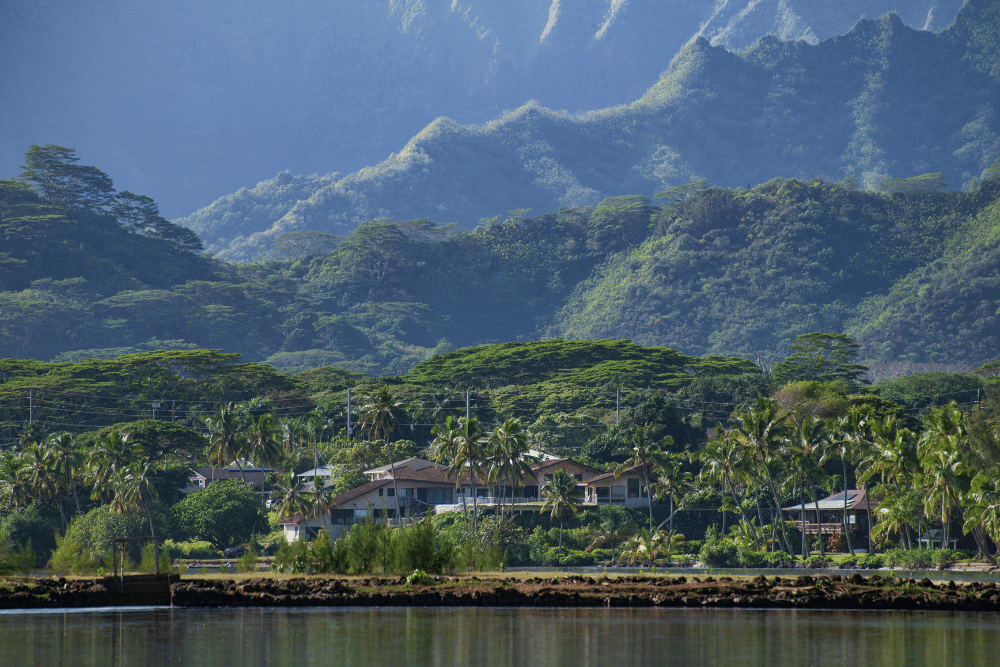 Unique Kauai Adventure Wedding Ideas for Bold Couples